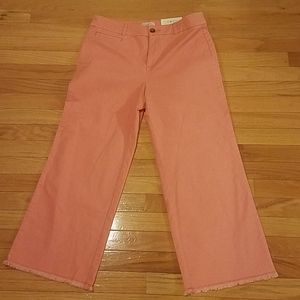 NWT Loft Outlet High Rise Slim Wide Leg Crop sz.8